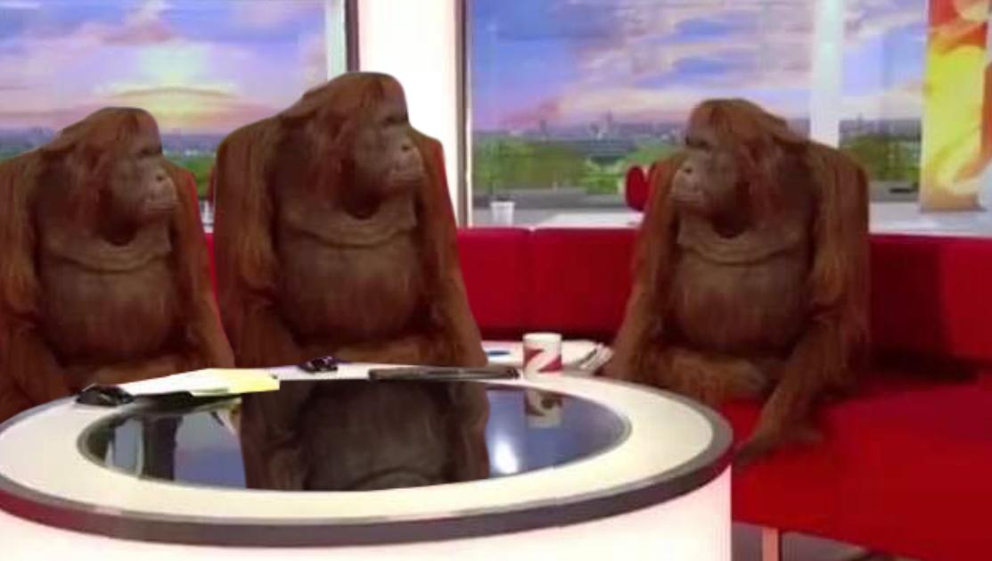 3 Monkeys in Studio