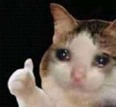 Approved crying cat