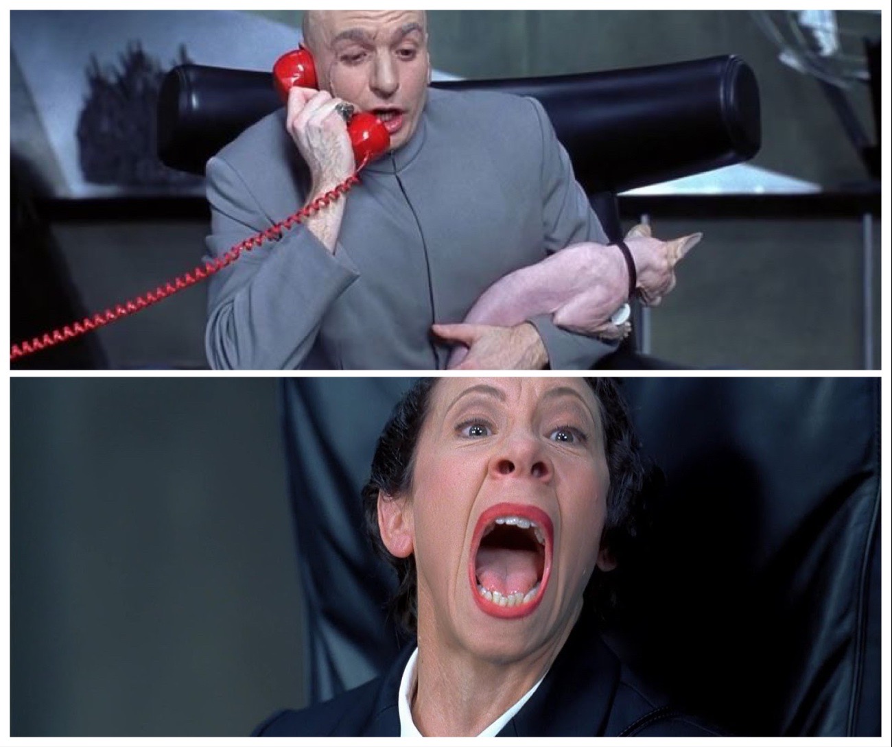Dr Evil and Frau Yelling