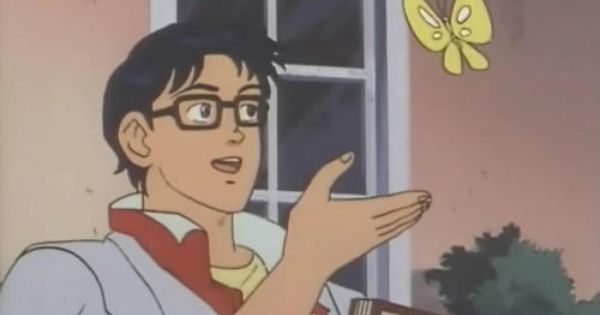 Is This A Pigeon
