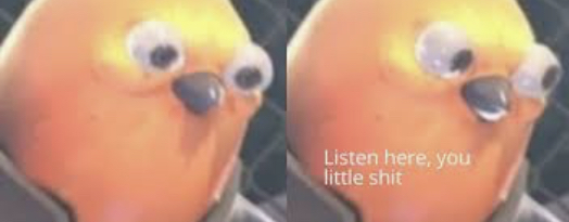 Listen here you little shit bird