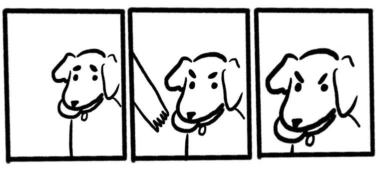 No Take, Only Throw