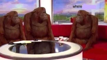 Where Banana (blank)