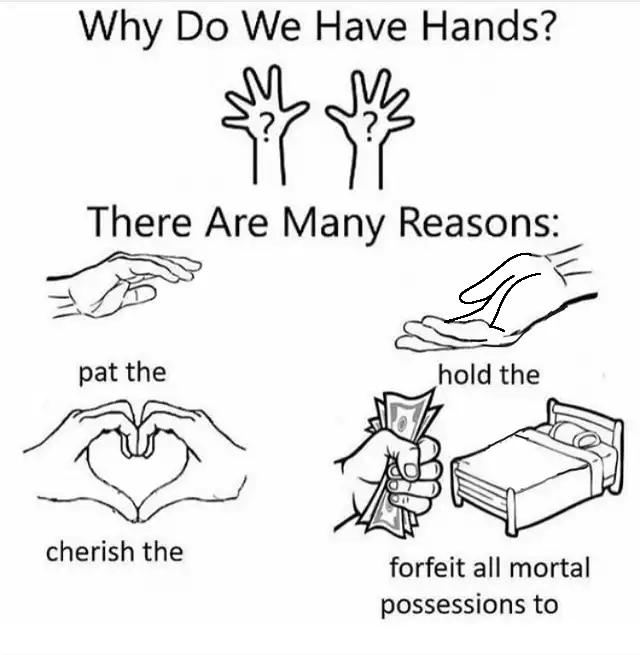 Why do we have hands? (all blank)